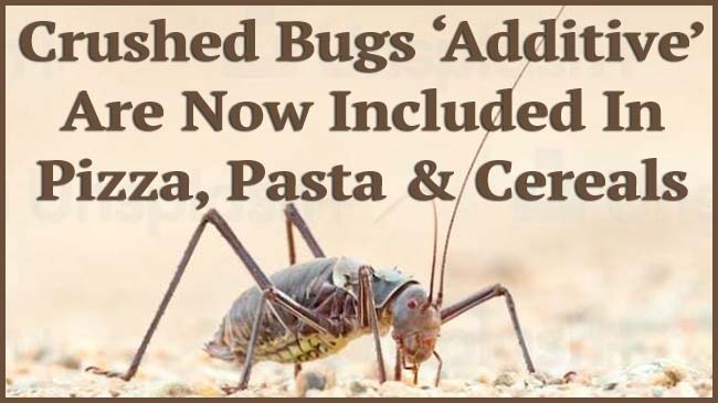 Included in Pizza, Pasta and Cereals