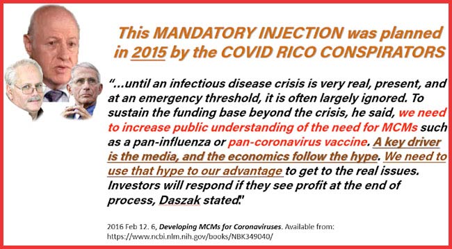 Bombshell Report - There is no variant... not novel... no pandemic. Dr. David Martin with Dr. Reiner Fuellmich