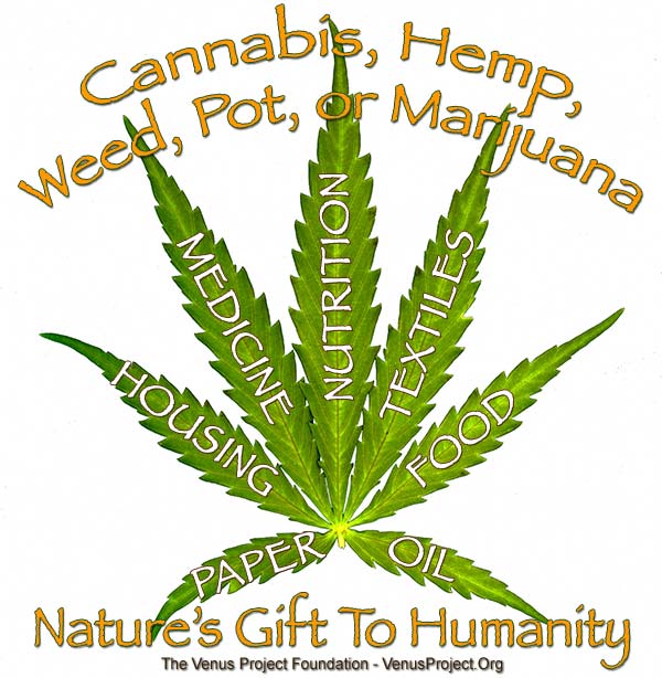 Cannabis, Hemp, Weed, Pot, or Marijuana - Nature’s Gift To Humanity