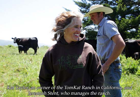 When Tom Steyer first learned that his wife, Kat Taylor, wanted to sell beef from the cattle herd on their ranch here, he rolled his eyes