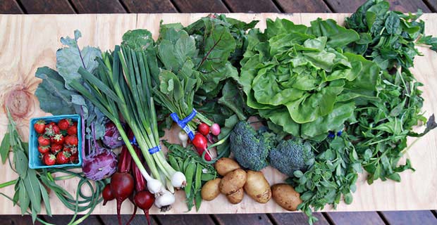 Booming Organics: U.S. Farmers Forced to Import Organic Crops to Meet Non-GMO Demand