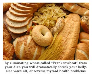 Is Wheat Making You Gain Weight, must we be eliminating wheat called “Frankenwheat” from your diet, you will dramatically shrink your belly and also ward off or reverse myriad health problems