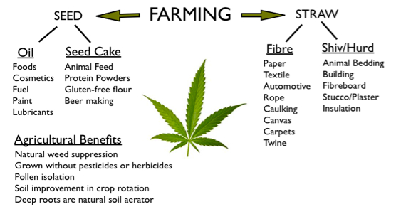 Farming Hemp
