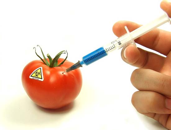 Connecting the Dots: GMOs and Vaccines - By Dr. Kelly Brogan, M.D.